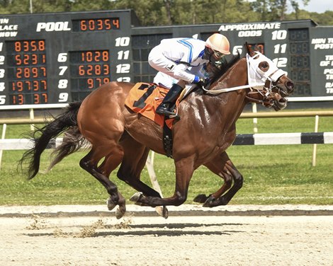 Foreman wins the Ocala Breeders&#39; Sales Sophomore Stakes Sunday, March 28, 2021 at Tampa Bay Downs