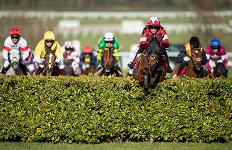 Tiger Roll (Keith Donoghue) jumps an obstacle and wins the Cross Country<br><br />
Cheltenham 17.3.21 