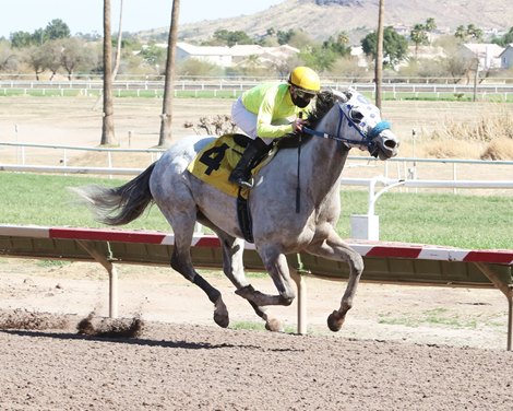 Arabian Story wins an allowance optional claiming race Monday, March 8, 2021 at Turf Paradise, giving jockey Glenn Corbett his 4,000 career win