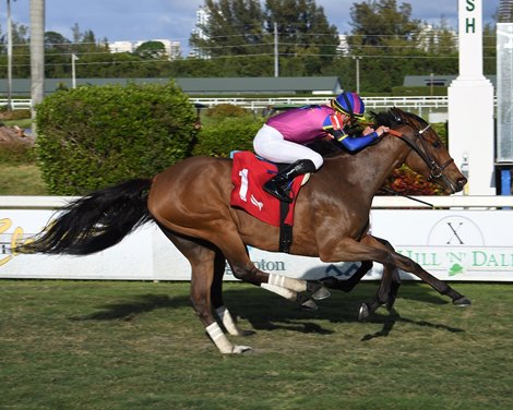 War Like Goddess wins 2021 Orchid Stakes at Gulfstream Park