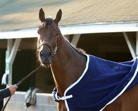 Search Results - Morning - Churchill Downs - 042021