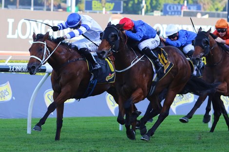 Kolding wins the All Aged Stakes at Randwick