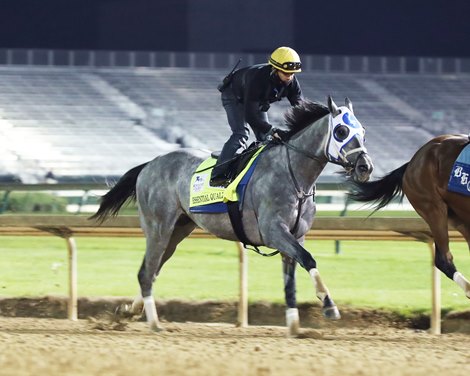 Essential Quality - Work - Churchill Downs - 04-17-21