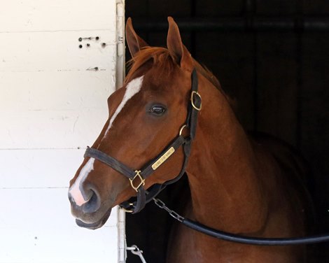 Like the King arrived at Churchill Downs on April 27, 2021