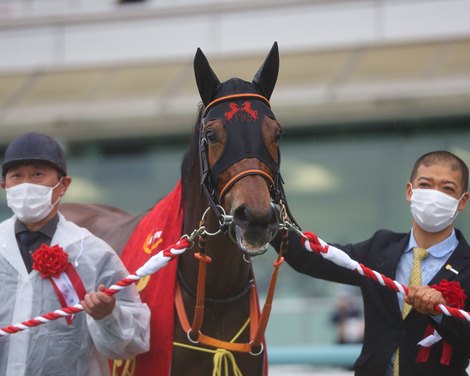 Lei Papale wins the Osaka Hai Sunday, April 4, 2021 at Hanshin