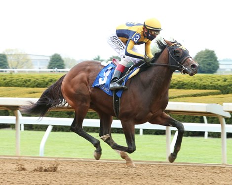 Headline Report - Maiden Win, Keeneland, April 23, 2021<br><br />
First winner for Gormley
