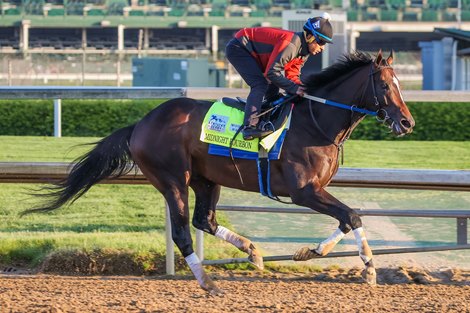 Brown Aims to Return to Preakness With Crowded Trade ...