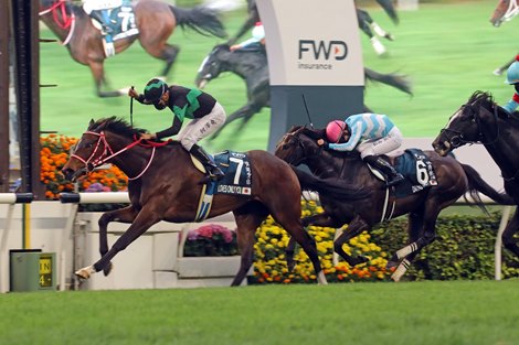 The Yoshito Yahagi-trained Loves Only You (No. 7), under Vincent Ho, wins the 2021 Group 1 FWD QEII Cup at Sha Tin Racecourse today. Glory Vase and Daring Tact finish second and third respectively in the HK$25 million event.