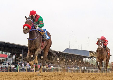 Miss Leslie wins the 2021 Weber City Miss Stakes at Pimlico