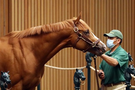 Hip 50, 2021 Keeneland April Horses of Racing Age Sale