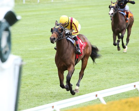 Ruthin - Maiden Win, Keeneland, April 22, 2021<br><br />
First winner for Ribchester
