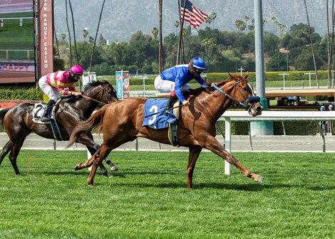 #3 CONSTANTIA (Umberto Rispoli)<br><br />
$75,000 Mizdirection Stakes<br><br />
Owner: Keith Abrahams<br><br />
Trainer: John Sadler<br><br />
Saturday, April 17, 2021<br><br />
Santa Anita Park<br><br />
Arcadia CA.