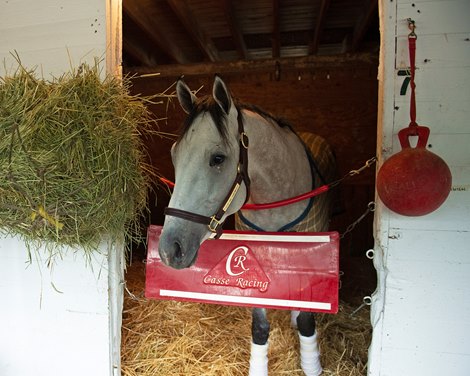 Soup and Sandwich<br><br />
Kentucky Derby and Oaks horses, people and scenes at Churchill Downs in Louisville, Ky., on April 25, 2021. 