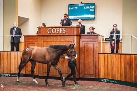 2021 Goffs UK Breeze Up Sale, Lot 178