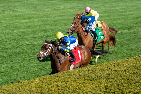 Jouster, Luis Saez up, wins the Appalachian Stakes (G2) at Keeneland on April 3, 2021.