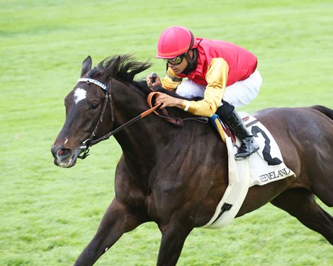 Say the Word wins the 2021 Elkhorn Stakes at Keeneland