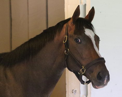 Hot Rod Charlie arrives at Churchill Downs on April 25, 2021