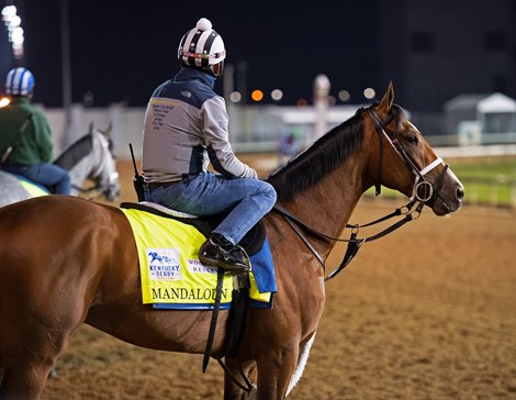 Mandaloun<br>
Kentucky Derby and Oaks horses, people and scenes at Churchill Downs in Louisville, Ky., on April 23, 2021. 