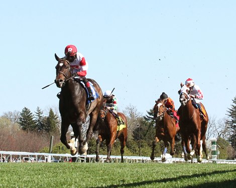 Chasing Artie wins the 2021 Palisades Turf Sprint Stakes    