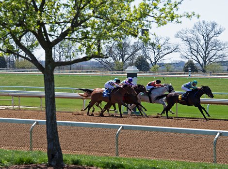 Race 2 with Rising Seas on the lead in the stretch.<br>
Scenes from opening day at Keeneland near Lexington, Ky., on April 2, 2021. 