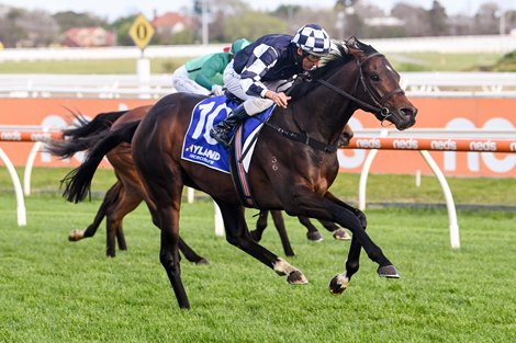 Russian Camelot ridden by Damien Oliver wins the Hyland Race Colours Underwood Stakes  at Caulfield Racecourse on September 26, 2020 in Caulfield, Australia. 