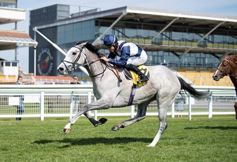 Snow Lantern (Sean Levey) scoots up in division 1 of the 1m maiden<br><br />
Newbury 18.4.21 