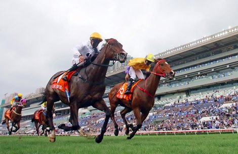 Golden Sixty (No. 1), trained by Francis Lui and ridden by Vincent Ho, wins the Group 1 FWD Champions Mile at Sha Tin Racecourse