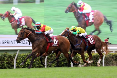 Wellington (No.6), trained by Richard Gibson and ridden by Alexis Badel, wins the Group 1 Chairman’s Sprint Prize at Sha Tin Racecourse