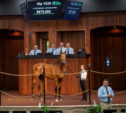 2021 OBS Spring Sale, Hip 1039<br><br />
Into Mischief - Loveofalifetime    sold $875.000  @ ObS in Ocala; April 23 2021