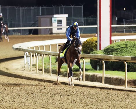 Mandaloun - Work - Churchill Downs - 04-17-21