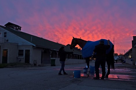 Mandaloun<br>
Kentucky Derby and Oaks horses, people and scenes at Churchill Downs in Louisville, Ky., on April 23, 2021. 