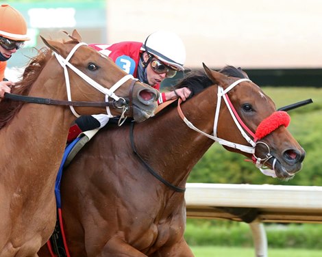 Letruska wins the 2021 Apple Blossom at Oaklawn Park