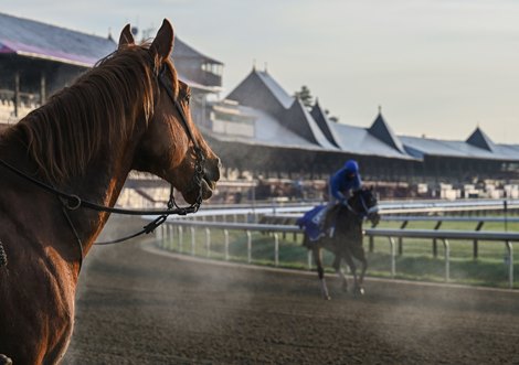 For the first time in recent memory horses take to the Main track this early at the Saratoga Race Course for training due to the extensive renovation of the Oklahoma Training Center which is usually the first venue in Saratoga Springs, N.Y. to open to the early arrivals of thoroughbreds in the Spa City April 18, 2021