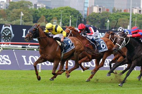 Addeybb wins the 2021 Queen Elizabeth Stakes at Randwick Racecourse