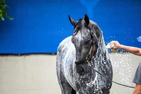 Essential Quality gets a bath with a wall of media making pictures Thursday April 29, 2021 in Louisville, Kentucky