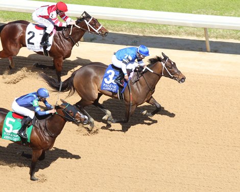 Abrogate wins the 2021 Purple Martin Stakes