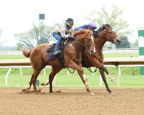 Like the King - Work - Keeneland - 04-17-21