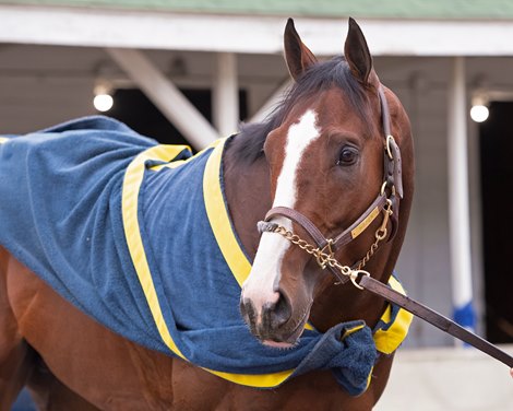 Hozier<br><br />
Kentucky Derby and Oaks horses, people and scenes at Churchill Downs in Louisville, Ky., on April 23, 2021. 