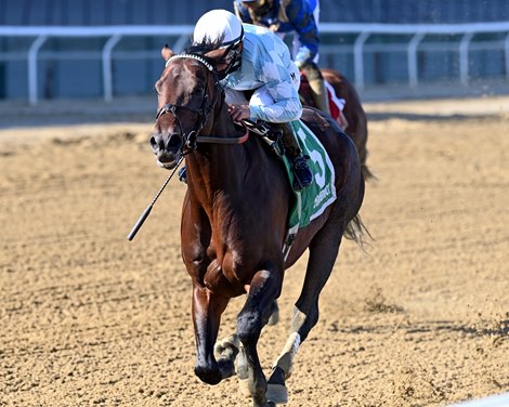 Modernist wins the 2021 Excelsior Stakes at Aqueduct