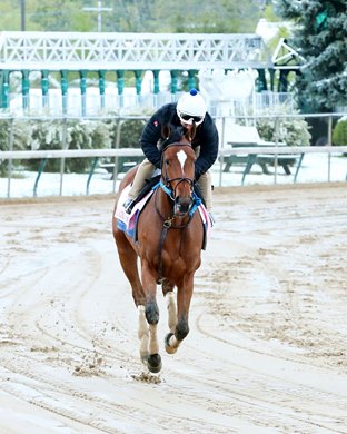 Clairiere - Morning - Churchill Downs – 042121