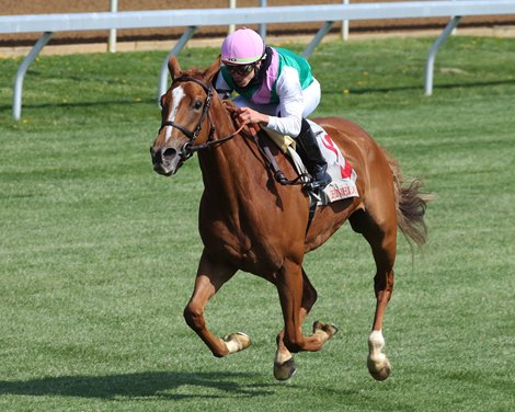 Pocket Square wins an allowance race Wednesday, April 7, 2021 at Keeneland Pocket Square wins an allowance race Wednesday, April 7, 2021 at Keeneland