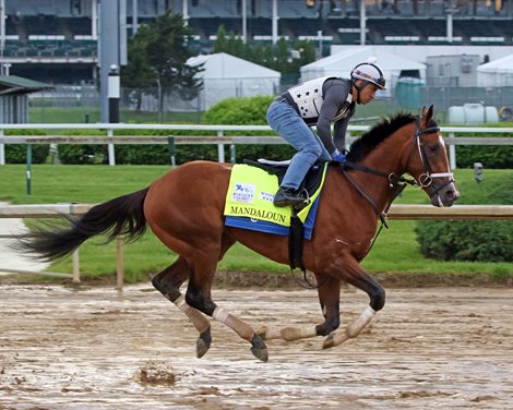 Mandaloun on the track at Churchill Downs on April 29, 2021