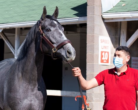 Maracuja<br><br />
Kentucky Derby and Oaks horses, people and scenes at Churchill Downs in Louisville, Ky., on April 26, 2021. 