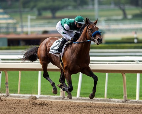 Flightline - Maiden Win, Santa Anita, April 24, 2021