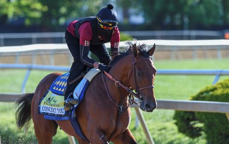 Preakness entrant Concert Tour on track for morning exercise at the Pimlico Race Track Thursday May 13, 2021 in Baltimore, MD. 