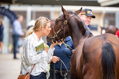 Scene at 2021 Magic Millions National Weanling Sale