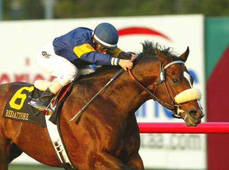 Redattore carries Julie Krone to victory in the G2 $400,000 Citation Handicap Saturday, Nov. 29, 2003 at Hollywood Park, Inglewood, CA, giving Krone a sweep of the graded stakes