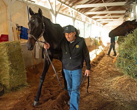 Medina Spirit walking the shedrow with Jimmy Barnes the morning after winning the Kentucky Derby (G1). <br><br />
Kentucky Derby and Oaks horses, people and scenes at Churchill Downs in Louisville, Ky., on May 2, 2021. 