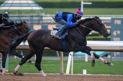 Rock Your World - Santa Anita, May 21, 2021