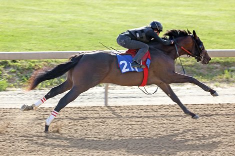 Hip 211  breezes 1/8th in 10 flat, 2012 Fasig-Tipton Midlantic 2 Year Olds in Training Sale